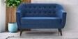 Tuft Velvet 2 Seater Sofa in Blue Colour