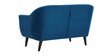 Tuft Velvet 2 Seater Sofa in Blue Colour