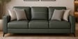 Tuscon Half Leather 3 Seater Sofa in Exotica forest Green colour
