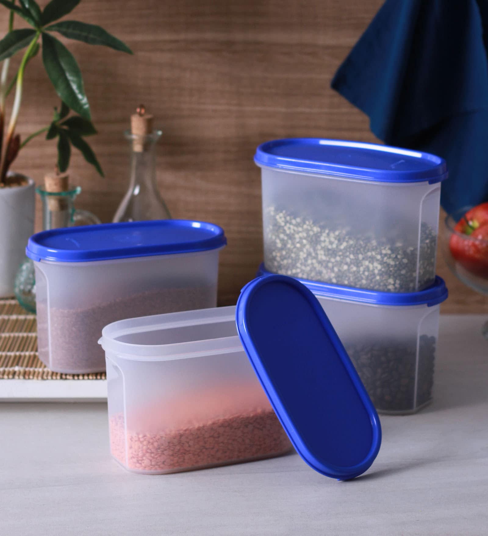 Buy Tupperware Modular Mate Plastic 1.1 L Oval Container - Set of 4 ...