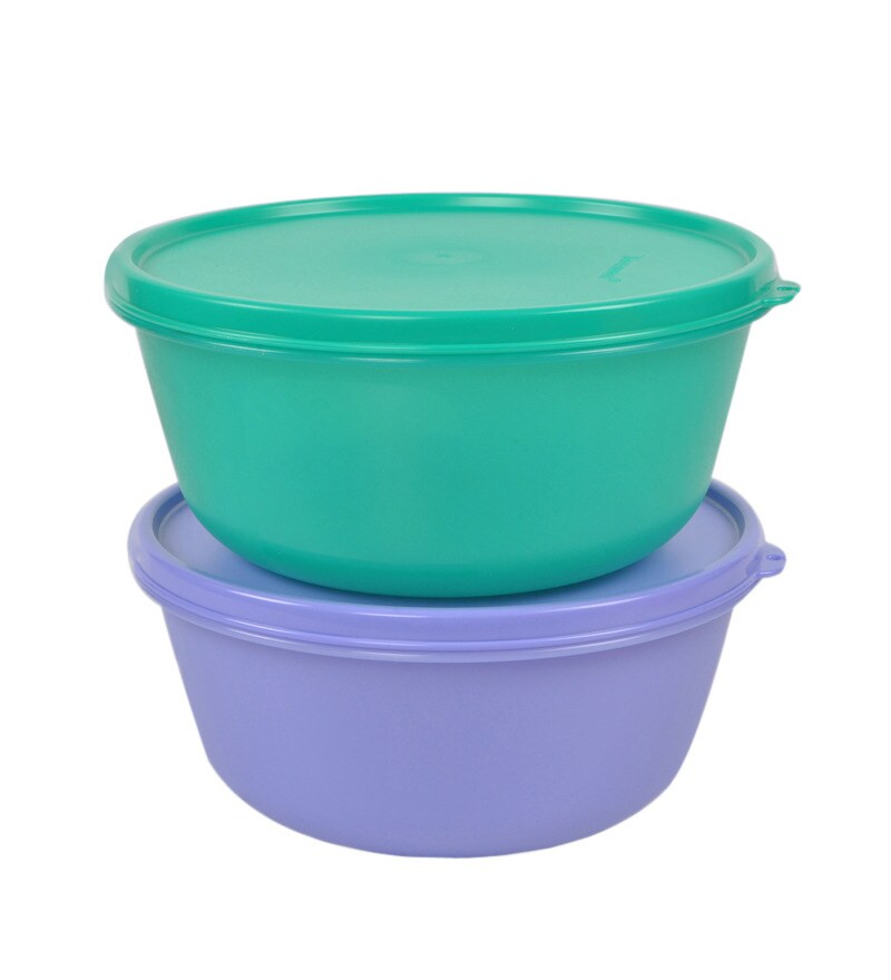 Tupperware Ss Multicolour 1500 Ml (Each) Bowl Set of 2 by Tupperware