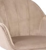 Tufted Velvet Fabric Guest Chair In Brown Colour