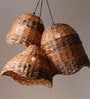 Tukani Oval Hanging Light