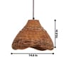 Tukani Oval Hanging Light