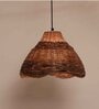 Tukani Oval Hanging Light