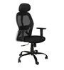 Tulip Breathable Mesh Ergonomic Chair with Headrest in Black Colour