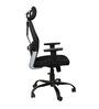 Tulip Breathable Mesh Ergonomic Chair with Headrest in Black Colour