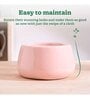 Tulip Fantasy Bowl Light Pink Ceramic Planter