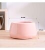 Tulip Fantasy Bowl Light Pink Ceramic Planter
