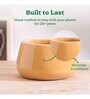 Tulip Fantasy Bowl Sandle Ceramic Planter