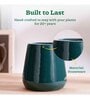 Tulip Fantasy Extra Small Dark Green Ceramic Planter