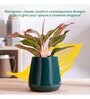 Tulip Fantasy Extra Small Dark Green Ceramic Planter