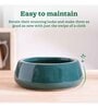 Tulip Fantasy Flat Dark Green Ceramic Planter