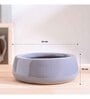 Tulip Fantasy Flat Grey Ceramic Planter