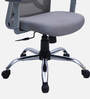 Yuzuki Ergonomic Chair With Adjustable Handle and Neck Support In Grey Colour