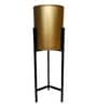 Tulsi- Small Multicolor Colour Metal Desk Planter