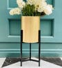 Tulsi- Small Multicolor Colour Metal Desk Planter