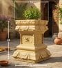 Tulsi Planter 24 inch Beige German Polymer Square Plant Container