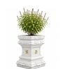 Tulsi Planter 24 inch White German Polymer Square Plant Container