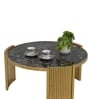 Turin Italian Marble Nesting Coffee Table Set of 2 In Gold Finish