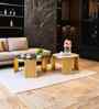 Turin Italian Marble Nesting Coffee Table Set of 2 In Gold Finish