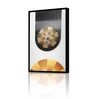 Turntable Strobe Disk Multicolour Engineered Wood Framed Canvas Wall Painting
