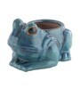 Turquoise Ceramic Frog Shape Planter