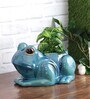 Turquoise Ceramic Frog Shape Planter