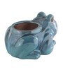 Turquoise Ceramic Frog Shape Planter