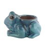 Turquoise Ceramic Frog Shape Planter
