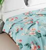 Turquoise Polyester 150 Mild Winter Double Bed Comforter