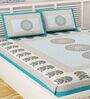 Turquoise Traditional 120 TC 100% Cotton Queen Bedsheet With 2 Pillow Covers