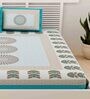 Turquoise Traditional 120 TC 100% Cotton Queen Bedsheet With 2 Pillow Covers