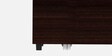 Twogether Engineered Wood Sofa Cum Bed In Cinnamon Colour