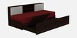 Twogether Engineered Wood Sofa Cum Bed In Cinnamon Colour