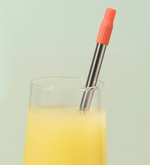 Two Tone Orange & Silver Stainless Steel (Set of 3) Pocket Straw