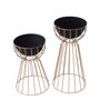 Twin Bloom Set Of 2 Gold Floor Planters