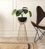 Twin Large Bloom Black Metal Floor Planter