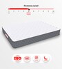 Twin Plus 5 Inches Latex Queen Size Mattress with SrtX  Technology