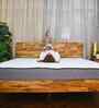 Twin Plus 6 Inches Latex King Size Mattress with SrtX  Technology