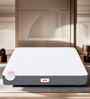 Twin Plus 6 Inches Latex King Size Mattress with SrtX  Technology