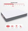 Twin Plus 6 Inches Latex Queen Size Mattress with SrtX  Technology