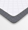 Twin Plus 6 Inches Latex Single Size Mattress with SrtX  Technology