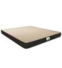 Dreamfresh Twist Reversible 5 inch PU Foam King Size Mattress