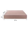 Comatose (72x47) EPE & PU Foam Queen Size Sofa Cum Foldable Mattress with Cushion