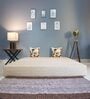 Comatose (72x47) EPE & PU Foam Queen Size Sofa Cum Foldable Mattress with Cushion