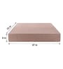 Comatose (72x47) EPE & PU Foam Queen Size Sofa Cum Foldable Mattress with Cushion