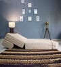 Comatose (72x47) EPE & PU Foam Queen Size Sofa Cum Foldable Mattress with Cushion