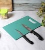 Assorted  PVC 1 pc chopping Board