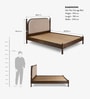 Ukti Queen Size Bed In In Walnut Finish